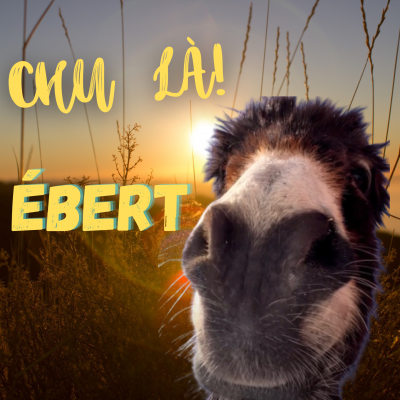 Chu là