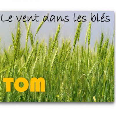 Le vent dans les blés