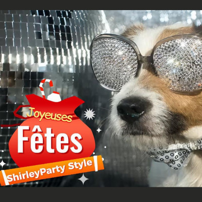 Noël sans toi  (ShirleyParty Style)