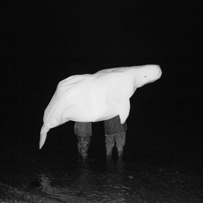 djurdjura (جبال جرجرة)