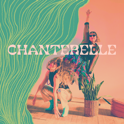 Chanterelle