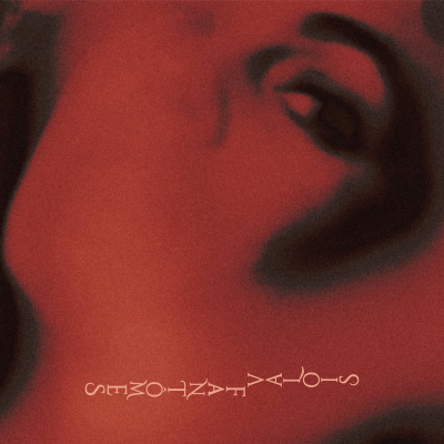 l’aigle et la sirène