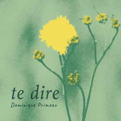 Te dire
